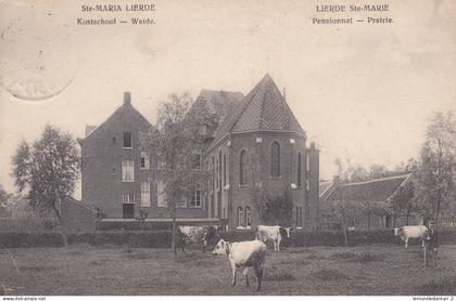 Sint Maria Lierde - Kostschool - Weide