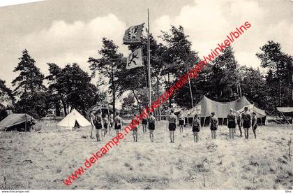 Grimbie - K. A. Kampeerterreinen - Maasmechelen