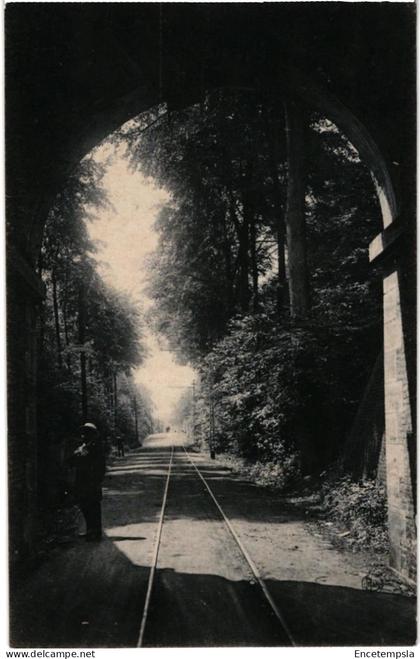 CPA Carte Postale Belgique   Morlanwelz  Mariemont La Route 1908 VM98949