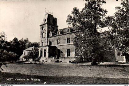 N°21951 W -cpsm Ohey -château de Walhay-
