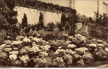 CPA Gand Flandre orientale, Floralies 1938