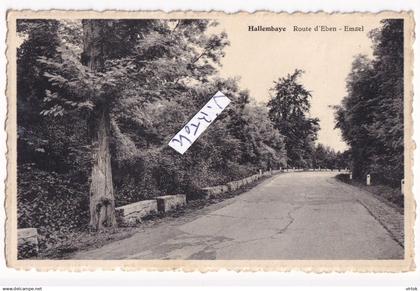 Hallembaye  :  route D'Eben - Emael