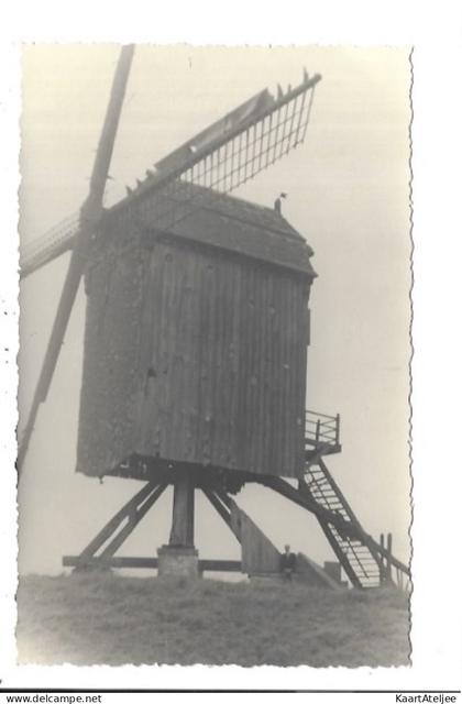 O.L.V. Lombeek - Fotokaart Molen - Moulin.