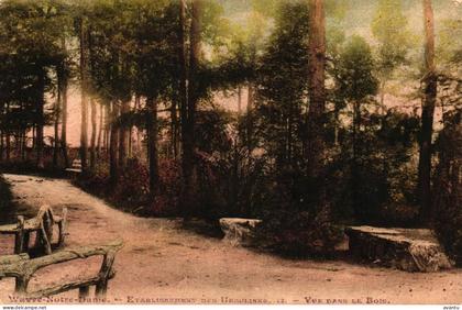 SINT KATELIJNE WAVER / INSTITUUT URSULINES