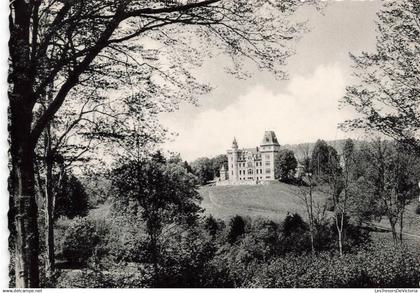 [-5%] BELGIQUE - Somme Leuze - Domaine de Septon - Château de Petite Somme - Carte Postale