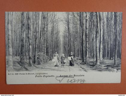 Petite Espinette Avenue des Bonniers (D.V.D. 9887)