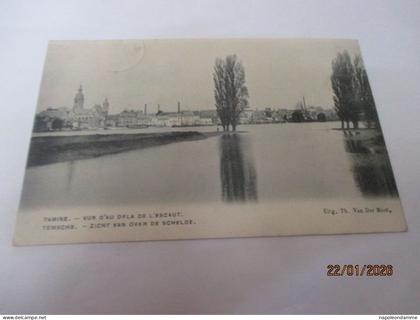 Temse, Zicht van over de schelde