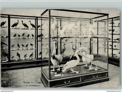 11103009 - Tervuren Tervueren