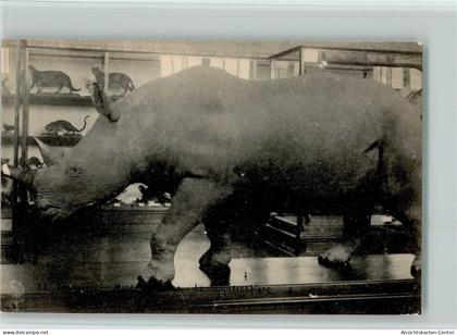 11103069 - Tervuren Tervueren