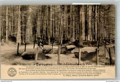 38176045 - Tervuren Tervueren