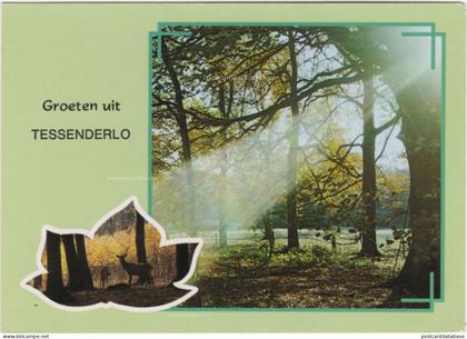 Groeten uit Tessenderlo