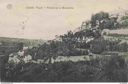 Thuin Wallonie Belgie Fonds de la Biesmelle