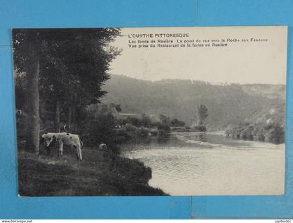 L'Ourthe Pittoresque Les fonds de Rosière Le point de vue vers la Roche aux Faucons Vue prise du restaurant de la ferme