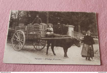 CPA - VIELSALM - ATTELAGE ARDENNAIS ( CHARIOT AVEC BOEUF )