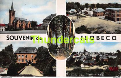 CPA SOUVENIR DE FLOBECQ