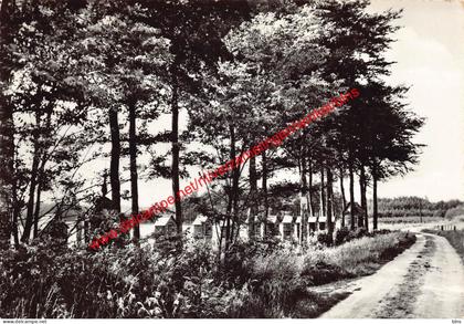 Kruisweg - Vorselaar