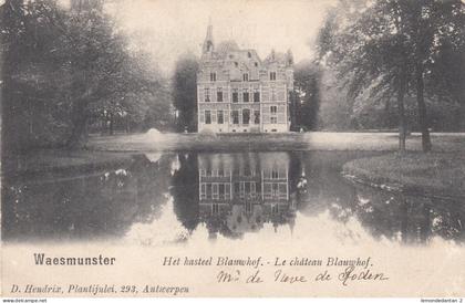 Waasmunster - Het Kasteel Blauwhof