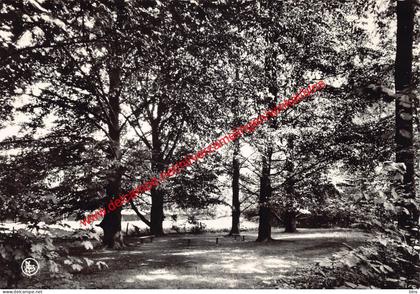 Carmel St-Joseph rustoord - Waregem