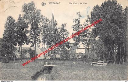 Westerloo - Het Riet - Westerlo