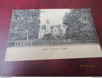 Chateau des Munen, Wingene