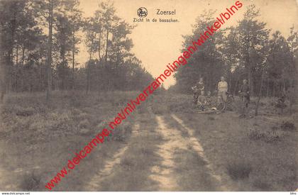 Zicht in de bosschen - Zoersel