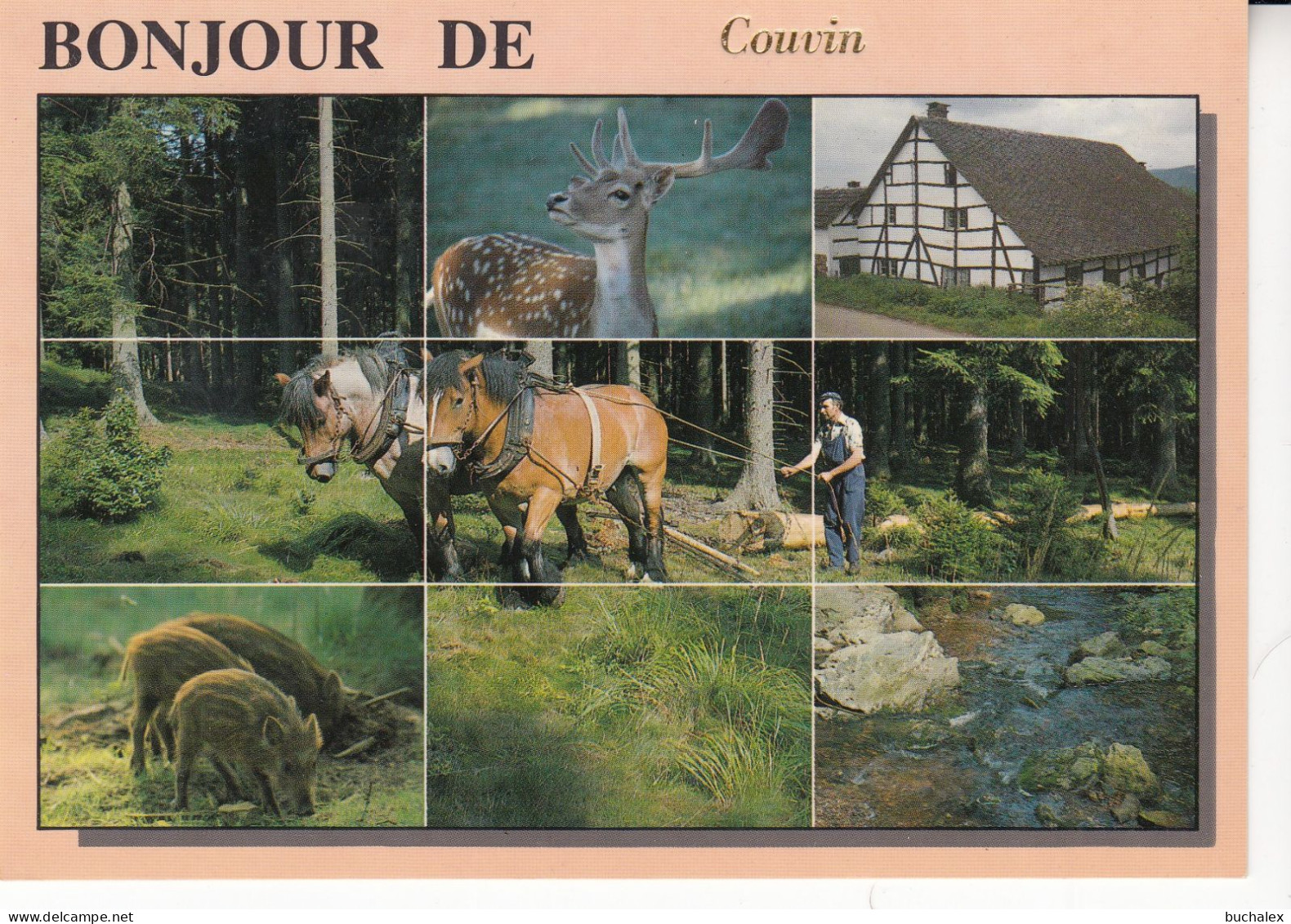 Belgien AK BONJOUR DE COUVIN -- ungelaufen