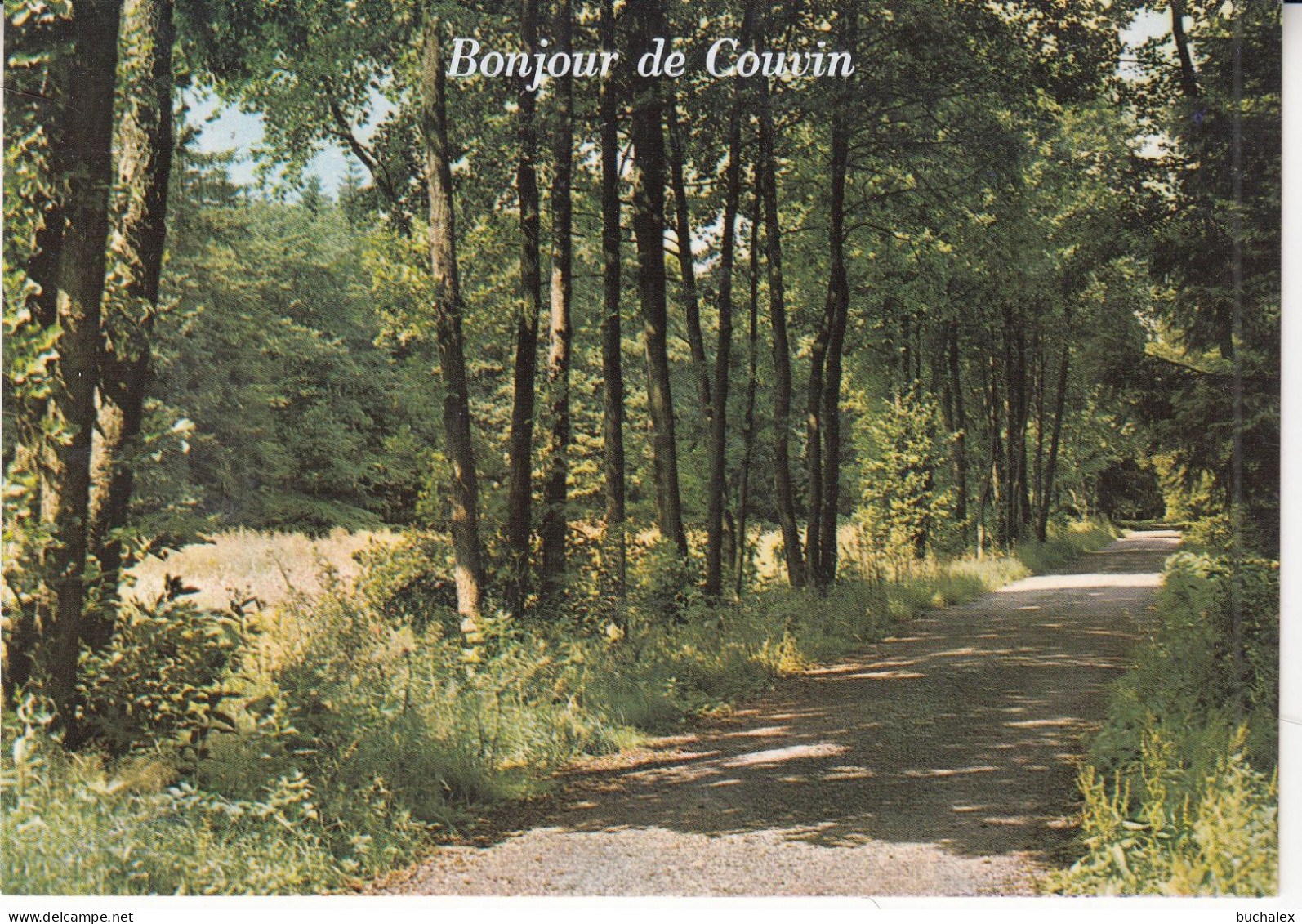 Belgien AK Bonjour de Couvin - ungelaufen