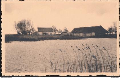 ASSENEDE      HOEVE CHYS