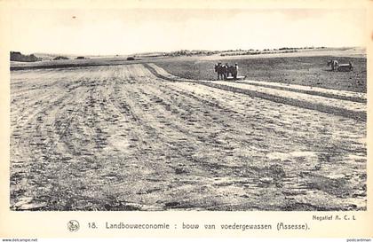 Belgique - ASSESSE (Namur) Culture de plante fourragère