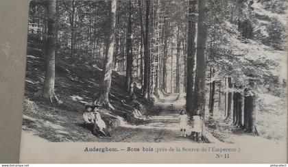 Auderghem - Oudergem // Sous Bois (Pres de la Source de l' Empereur (animee) ca 1900