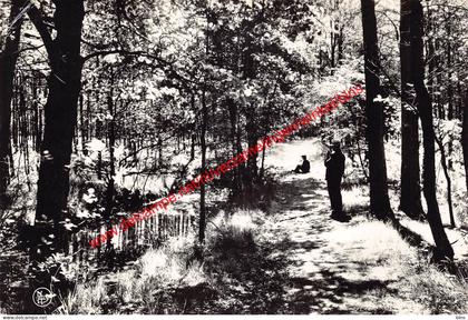 Kalmte in 't Bos aan de Duivelskuil - Beerse