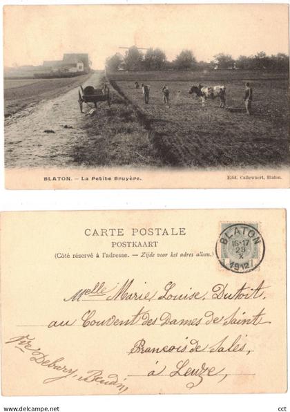 Blaton  Bernissart  La Petite Bruyère  Edit Callewaert Blaton   MOLEN MOULIN  ATTELAGE BOEUF
