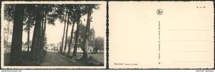 Carte postale - Bernissart chemin du marais
