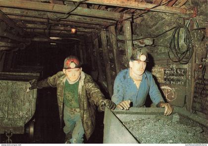 BELGIQUE - Blegny Trembleur - Transport - Mineur - Métier - Industrie - Mine - Wagonnette - Carte postale