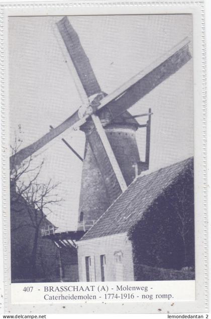 Brasschaat. Molenweg - Caterheidemolen. Editie studiekring Ons Molenheem te Kinrooi. *