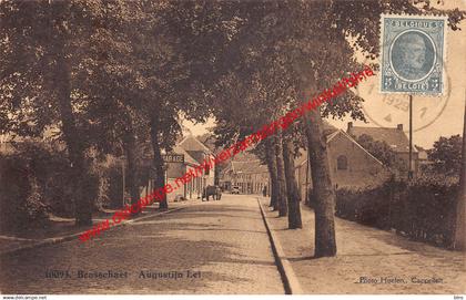 Brasschaet - Augustijn Lei - Brasschaat