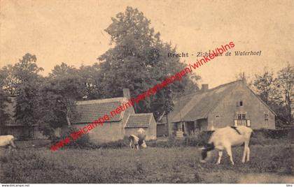 Zicht aan de Waterhoef - Brecht