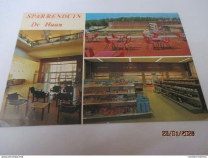 De Haan, Sparrenduin