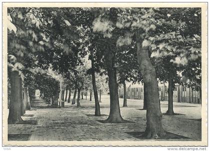 Eeklo - Eecloo :   OLV ten Doorn  :  inrichting ;  (  groot formaat )