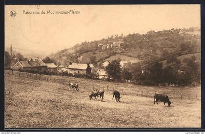 AK Moulin-sous-Fléron, Panorama von einen Berg aus