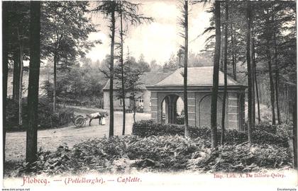 CPA Carte Postale Belgique Flobecq  Caplette  Pottelberghe 1917 VM75951ok