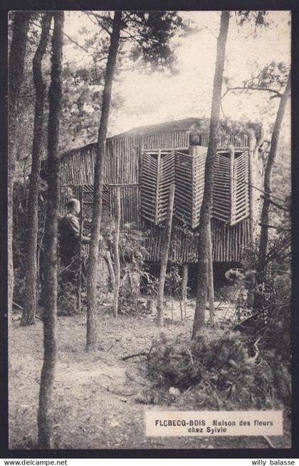 +++ CPA - FLOBECQ - BOIS - Vloesberg - Maison des Fleurs chez Sylvie  //