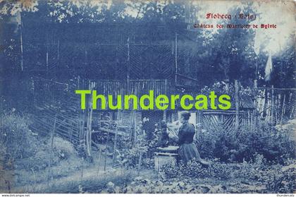 CPA VLOESBERG FLOBECQ CHATEAU DES MARTICOTS DE SYLVIE