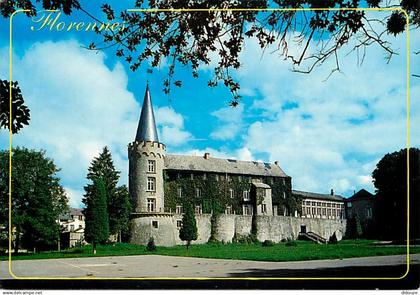 Belgique - Florennes - Le Château - Carte Neuve - CPM - Voir Scans Recto-Verso