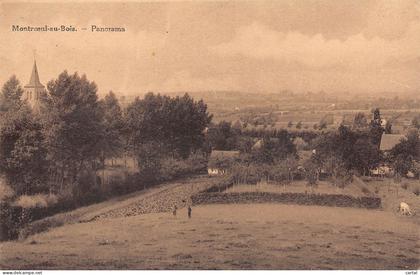 MONTROEUL-au-BOIS - Panorama
