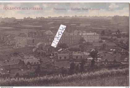 Hollogne-aux-Pierres :  panorama  institut ..........    ( 1913 avec timbre )