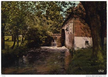 Grimbergen :  Liermolen     ( groot formaat )