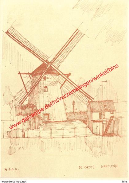 De Grote Napoleon - Hamme