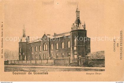 Gosselies Hospice Theys