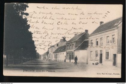 HERZELE      ALLEE DES PLATANES